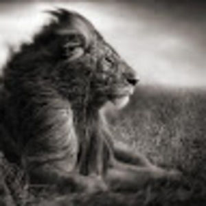 Meet your Posher, Armen